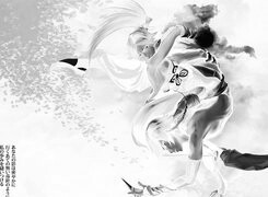 Szary + Negatyw