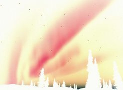 Negatyw
