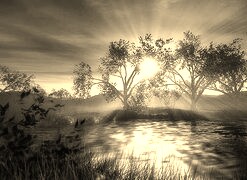 Szary + Sepia