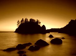 Sepia