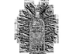 Skamielina