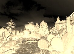 Sepia + Negatyw