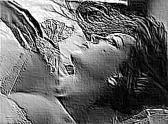 Skamielina