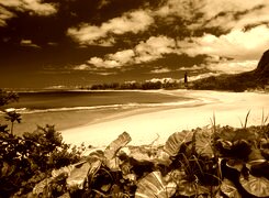 Sepia