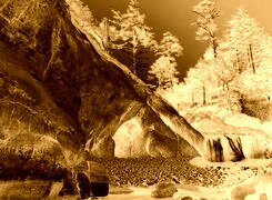 Sepia + Negatyw