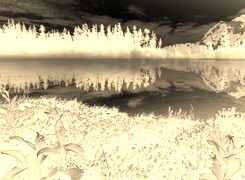 Sepia + Negatyw