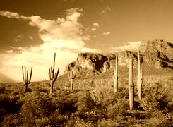 Sepia