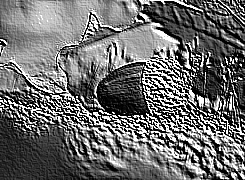 Skamielina