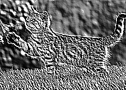 Skamielina