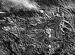 Skamielina