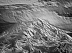 Skamielina