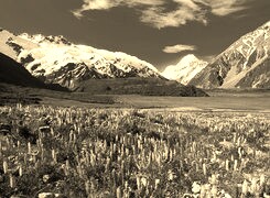 Sepia