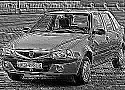 Skamielina