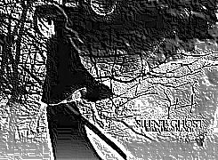 Skamielina