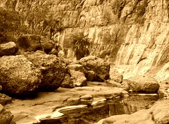 Sepia