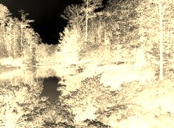 Sepia + Negatyw