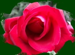 Oryginalny obrazek