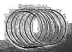 Skamielina