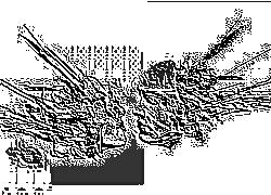 Skamielina