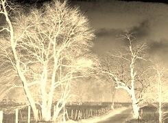 Sepia + Negatyw