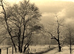 Szary + Sepia