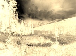Sepia + Negatyw