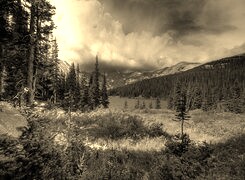 Szary + Sepia