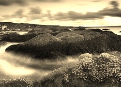 Szary + Sepia