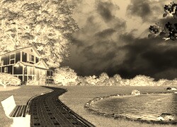 Sepia + Negatyw