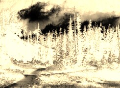 Sepia + Negatyw
