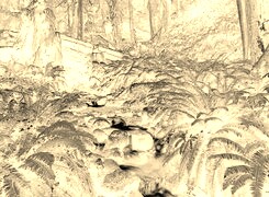 Sepia + Negatyw