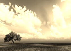 Szary + Sepia