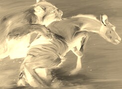 Sepia + Negatyw