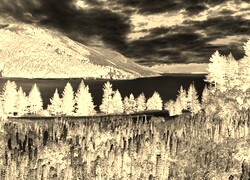 Sepia + Negatyw
