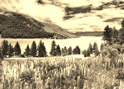 Sepia