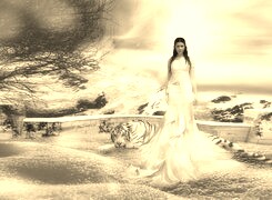 Szary + Sepia