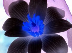 Negatyw