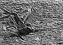 Skamielina