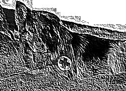 Skamielina