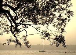 Szary + Sepia