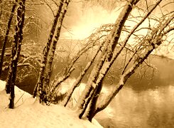 Sepia