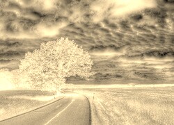 Sepia + Negatyw