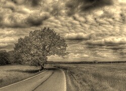 Sepia