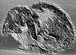 Skamielina