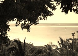 Szary + Sepia