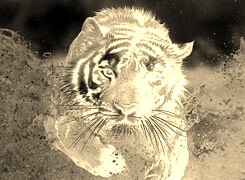 Sepia + Negatyw