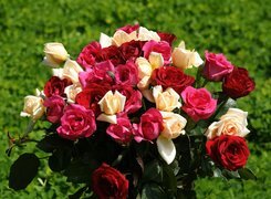 Oryginalny obrazek