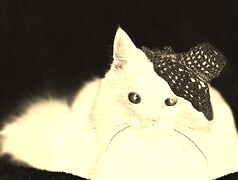 Sepia + Negatyw