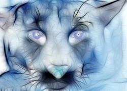 Negatyw