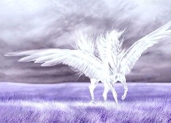 Negatyw